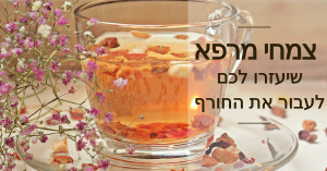 לימודי צמחי מרפא, הרבליסט קליני,מכללת כרכור