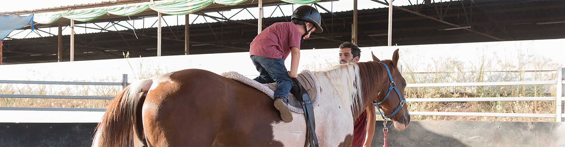 Horses_x628 Horses_x628