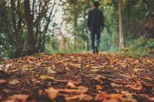 autumn-1869160_1920-300×200 autumn-1869160_1920-300x200