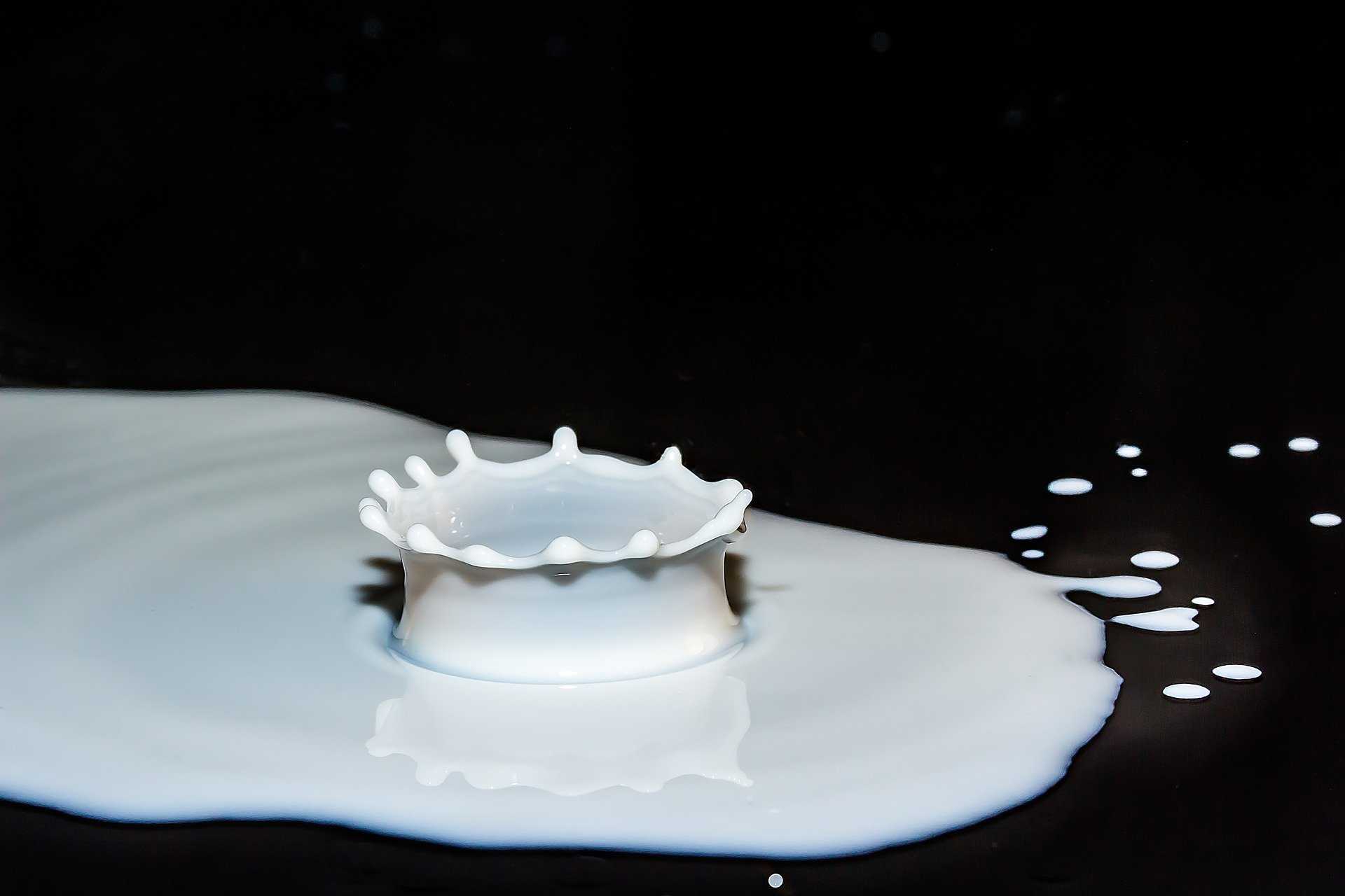 מכללת כרכור | 6 דברים שכדאי לדעת כששוקלים הימנעות ממוצרי חלב, כדאי לקרוא