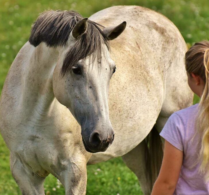 ילדה וסוס