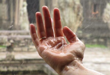 יד פתוחה בגשם