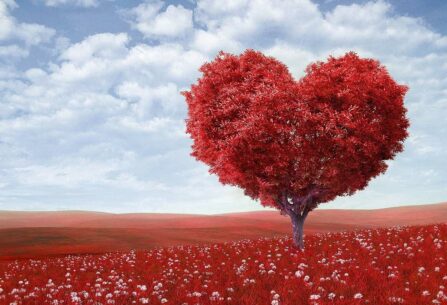 עץ אדום בצורת לב