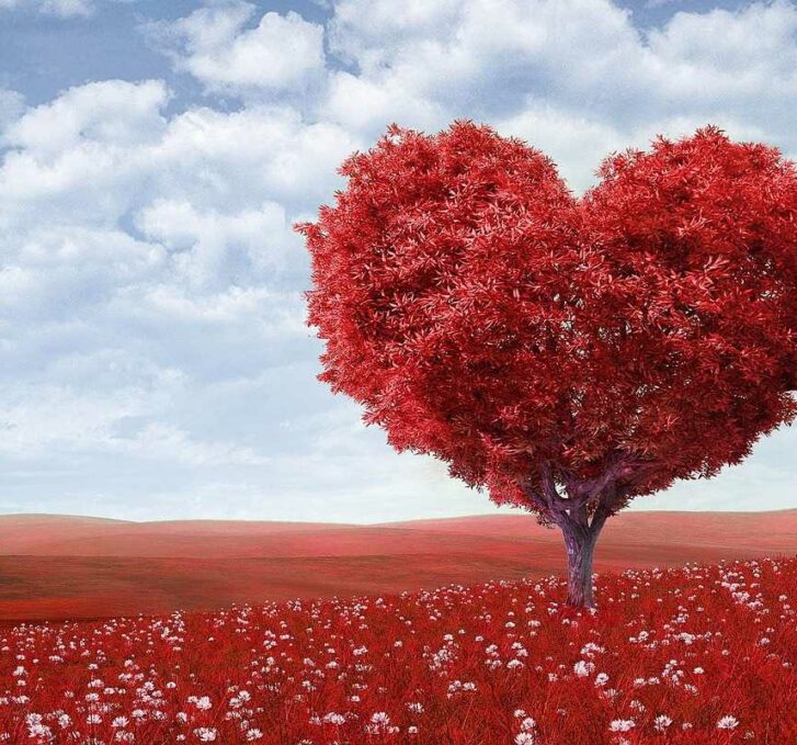 עץ אדום בצורת לב