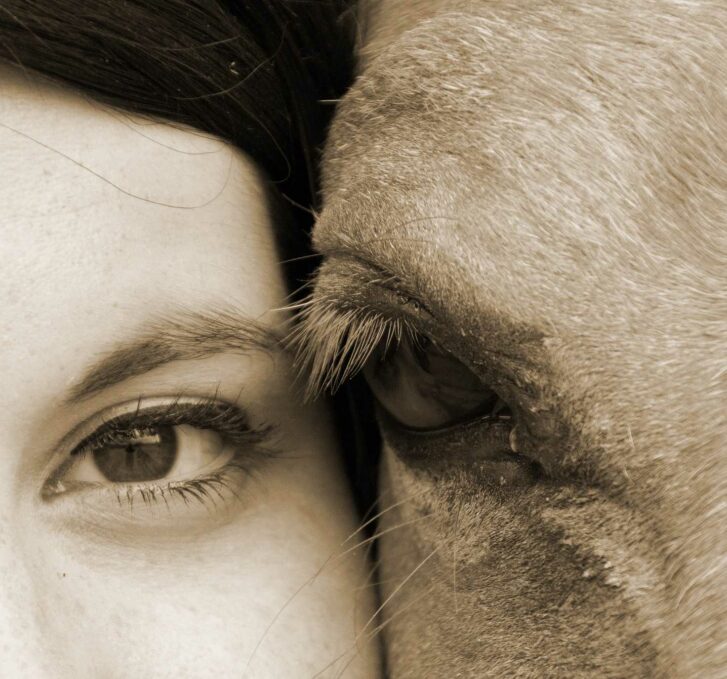 עיניים - אישה וסוס