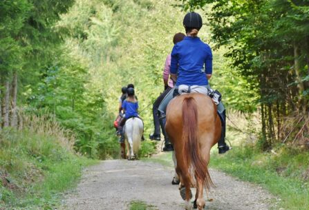 ילדים רוכבים על סוסים