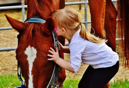 ילדה קטנה מחבקת סוס