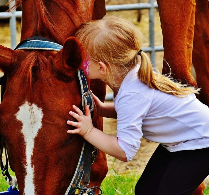 ילדה מנשקת סוס