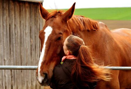 אישה מחבקת סוס