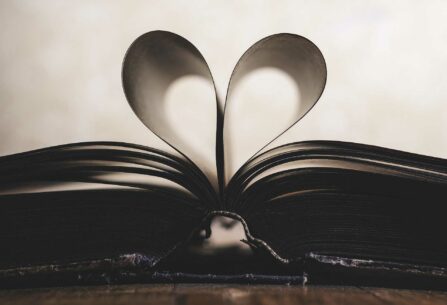 ניירות ספר מקופלים ללב