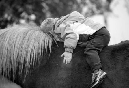 ילד מחבק סוס פוני