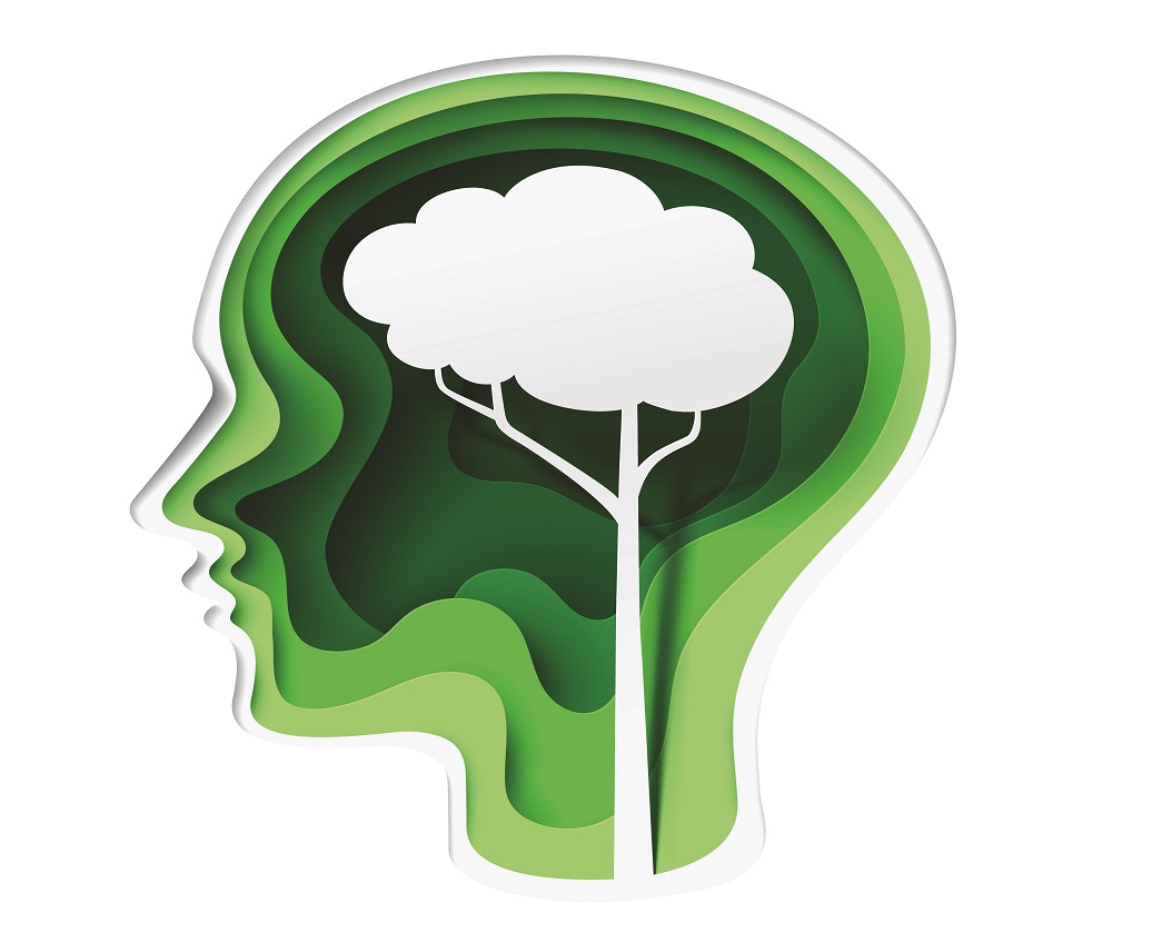דמיון מודרך -גילוף נייר לצורת ראש אדם ועץ נראה כמו מוח על רקע ירוק