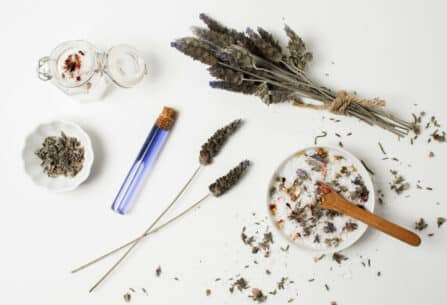 האם ניתן לשלב בין תרופות מרשם לצמחי מרפא