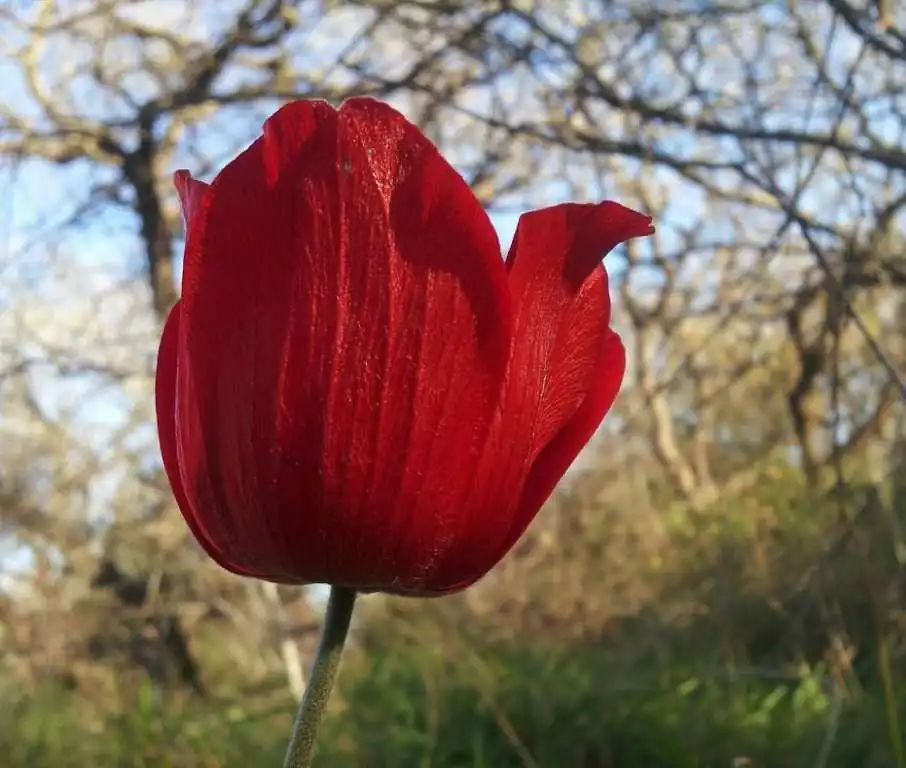 טבע תרפיה, להרגיש את הטבע, מאת: מיכל צרפתי. מכללת כרכור, מחכים רק לך