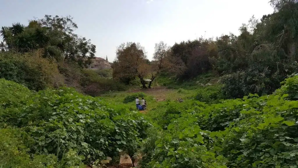 אקותרפיה, מחשבות חופשיות וזיכרונות , מאת: מיכל צרפתי. מכללת כרכור