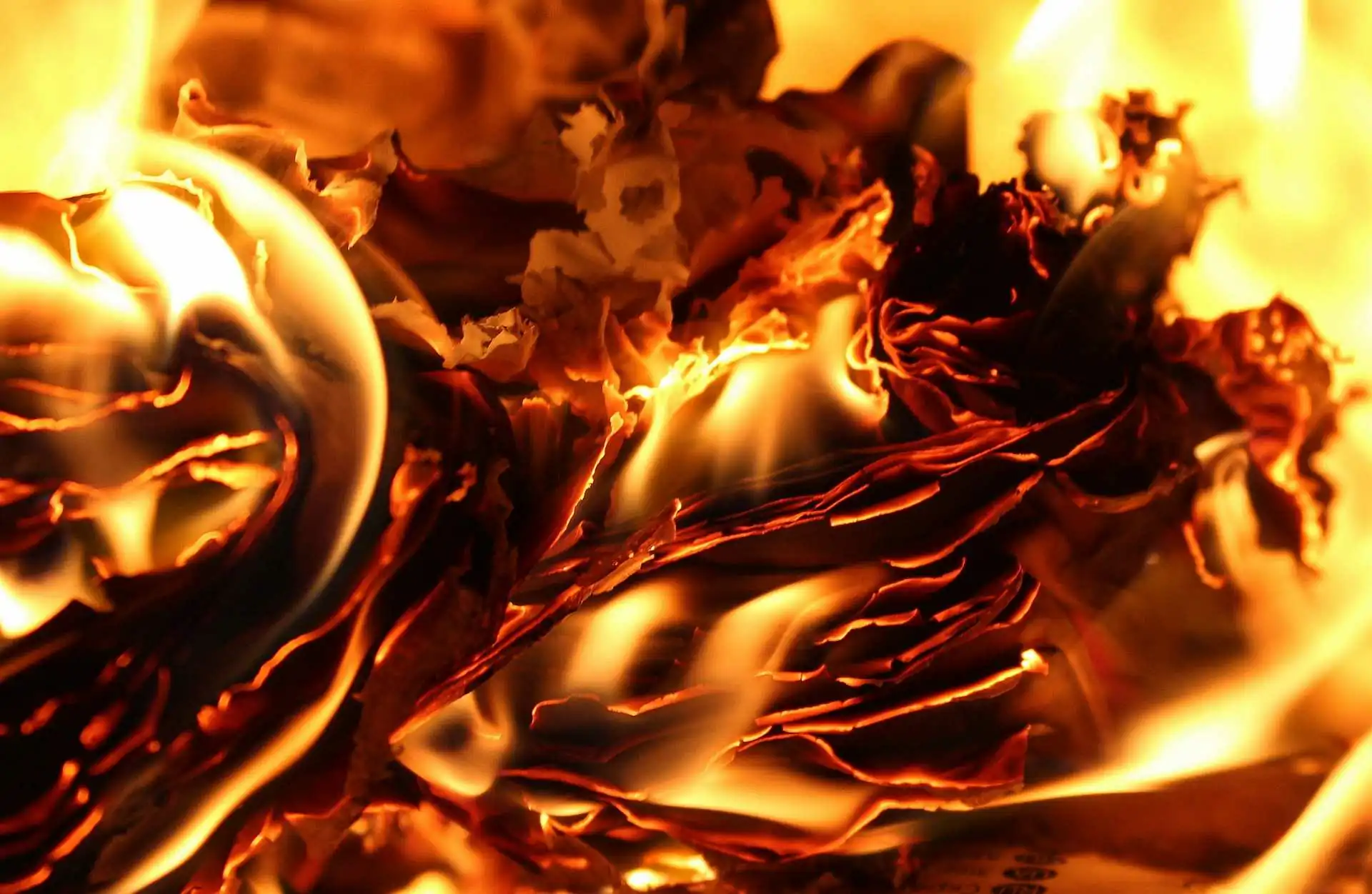 מכללת כרכור | תזונה טבעית, כח מה שרצית לדעת על תזונה אנטי-דלקתית