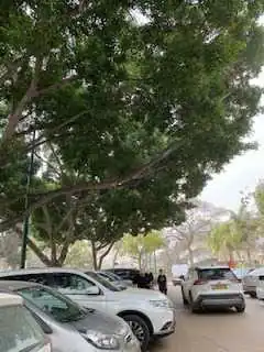 לימודי קיימות, מכללת כרכור | הפחתת איי חום - חלק שני