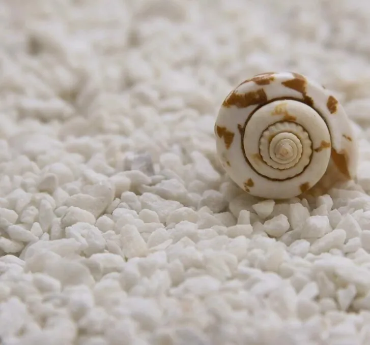 קונכיה מונחת על שטיח מכותנה