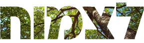 https://bespirit.co.il/wp-content/uploads/2023/03/top-cour-1.png