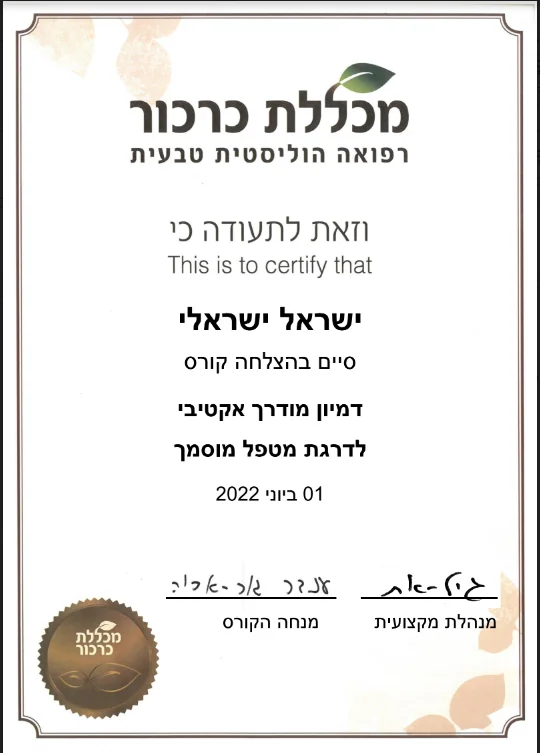תעודת מטפל מוסמך דמיון מודרך