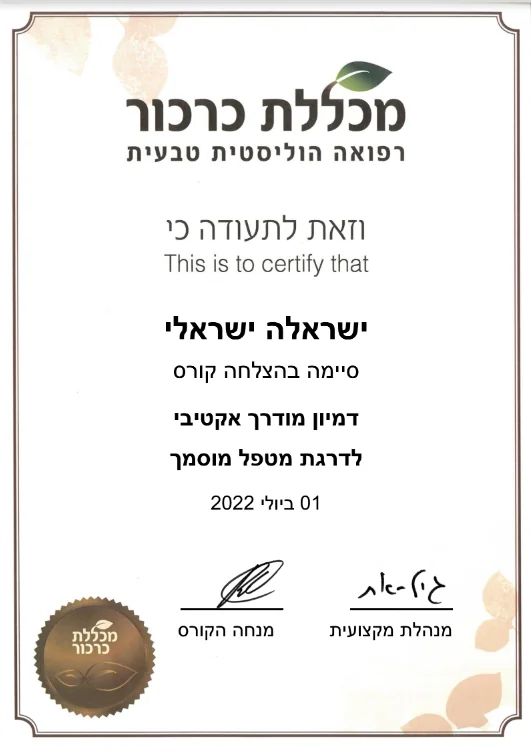 תעודת מטפל מוסמך דמיון מודרך רותם