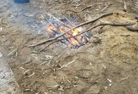 מדורה