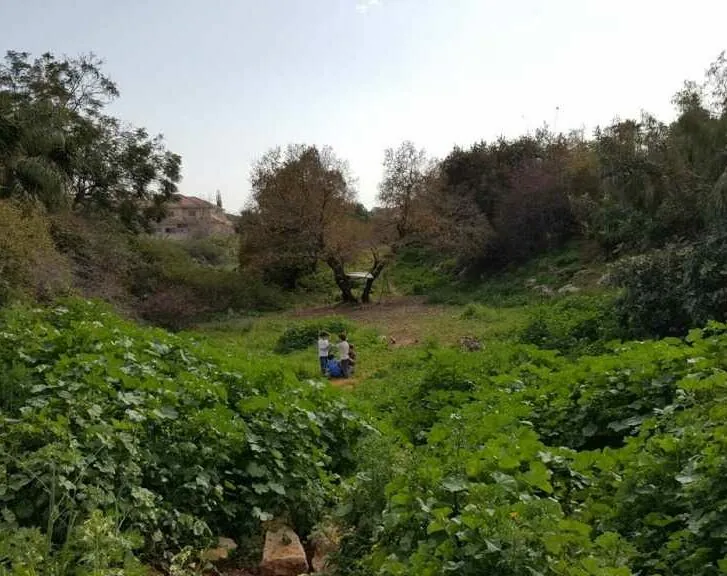עמק-החובזות-בחורף