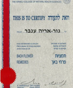תעודת פרחי באך ענבר גור אריה
