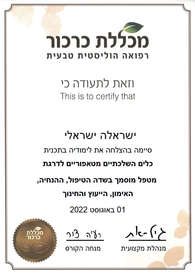 תעודת מטפל מוסמך בכלים השלכתיים