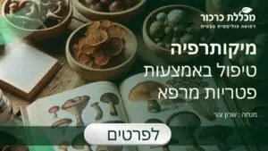 קורס מיקותרפיה