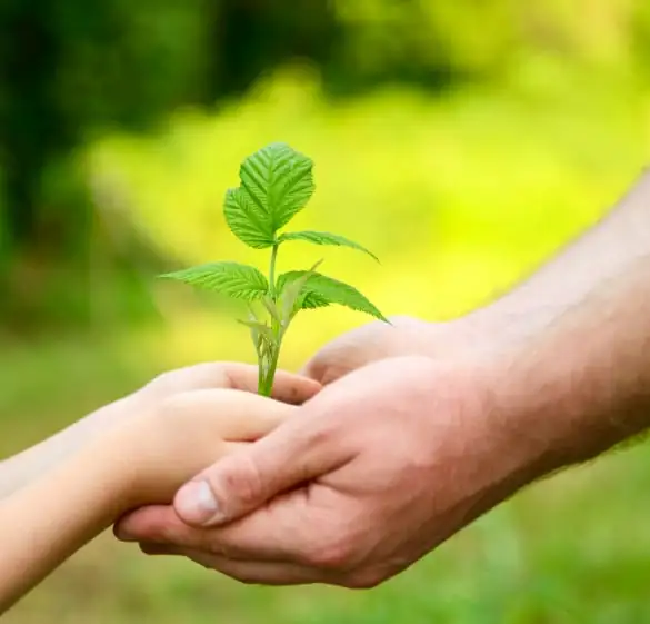 לצאת לדרך חדשה.להעז.לפרוח
